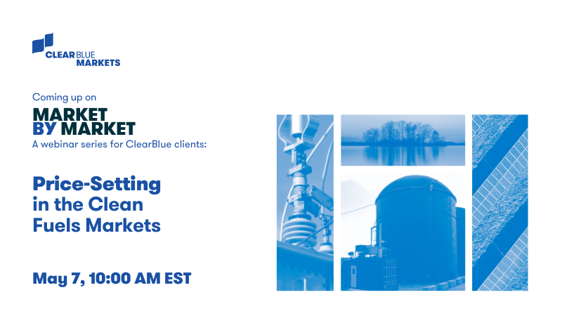 Price-setting in the Clean Fuels Market