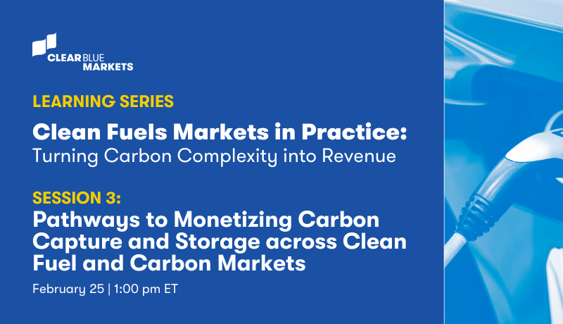 Pathways to Monetizing Carbon Capture and Storage across Clean Fuel and Carbon Markets