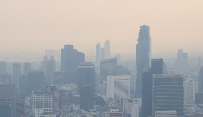 ICVCM Latest Approvals and Criticism of REDD+ CCP Label
