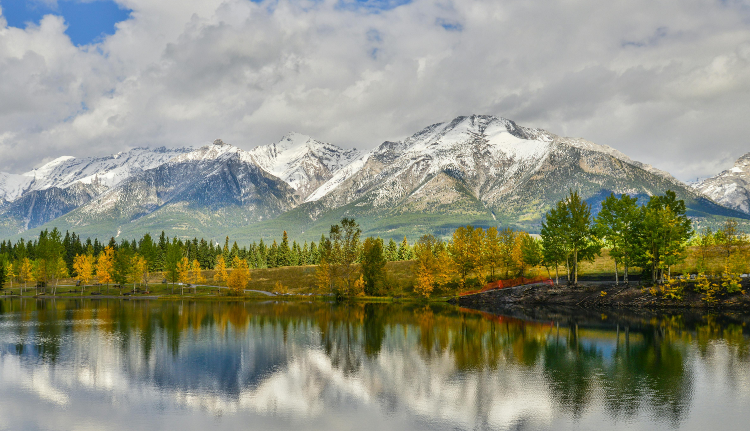 Amendments to the TIER Regulation - Direct Investment