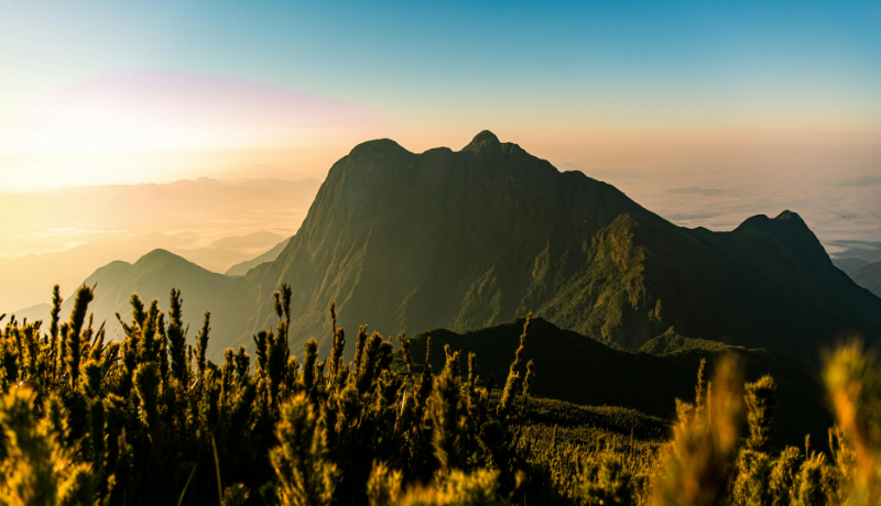 With NDC Updates Delayed, COP30 Faces Urgent Climate Challenges