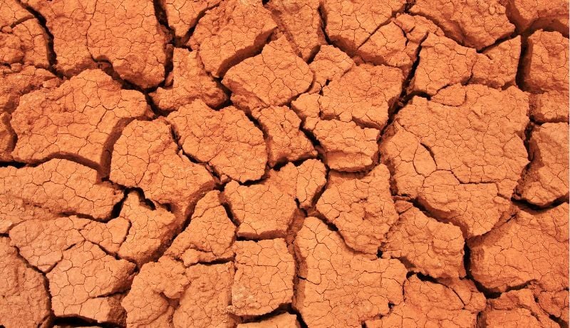 Verra Rejects China's AFOLU Projects over Documentation Concerns