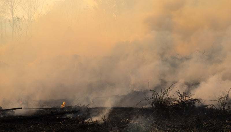 EPA Proposal to End Greenhouse Gas Reporting