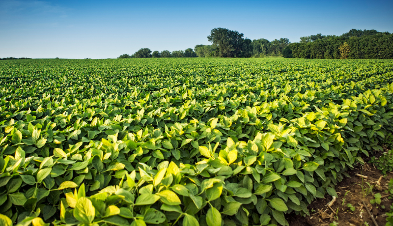 EPA Issues Supplemental Proposal for RFS for 2026-2027