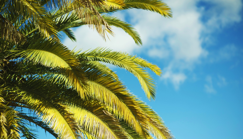 Briefing Recap: WCI Update: Crunch time for Cap-and-Trade