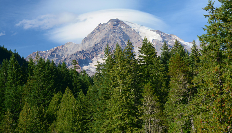 Washington APCR Auction Sells Out with High Supply and Demand Gap