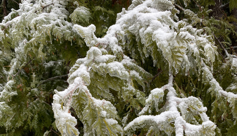 ECCC Launches Critical Consultation on Industrial Pricing Benchmark