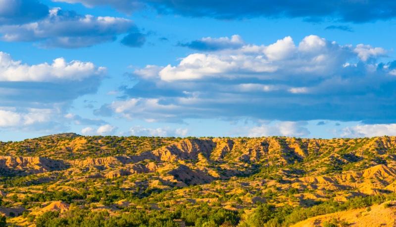 New Mexico launches the US Southwest’s First Clean Fuel Market