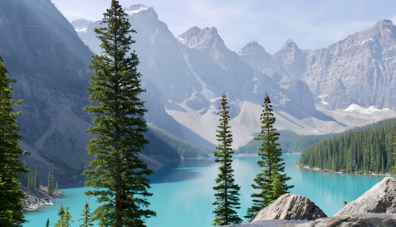 Key Energy Developments in Alberta: Nuclear Consultations and CCUS Investments