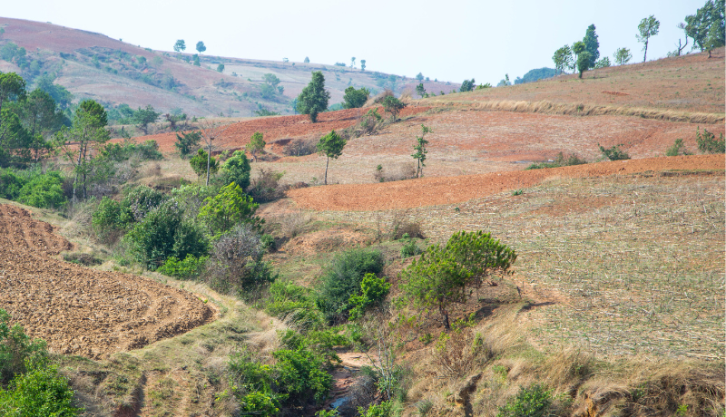 First Article 6.4 Credits Issued Under the Paris Agreement