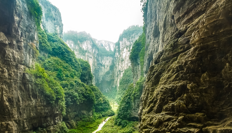 New Report: Interconnectivity & Article 6 Key to Asia’s Carbon Future