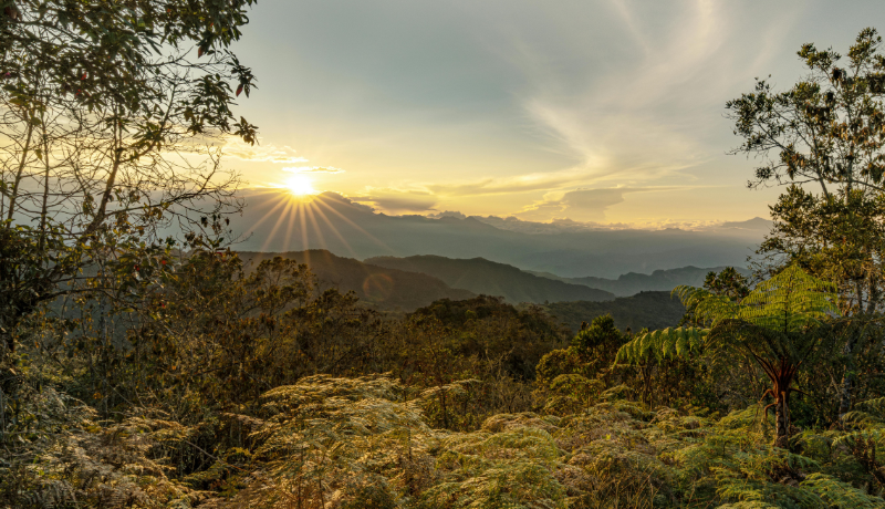 Colombia Submits NDC 3.0 With Limited Focus on Market Mechanisms