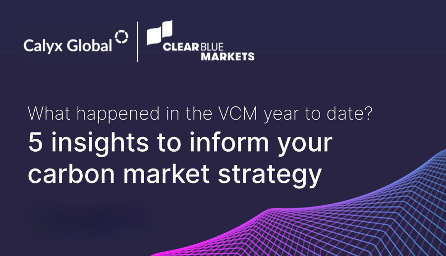 What happened in the VCM during the first half of 2025?