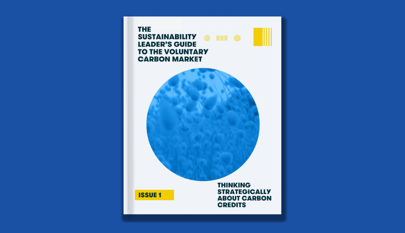 ClearBlue Launches the Ultimate Guide to the Voluntary Carbon Market
